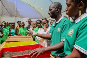 Read more about the article Black Soldier Fly (BSF) Farming